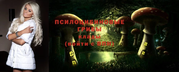 трава Верхнеуральск