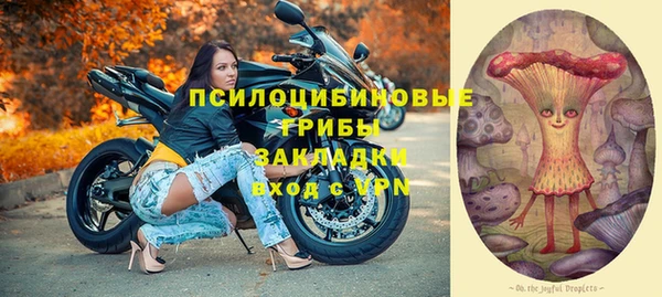 прущие крисы Верея