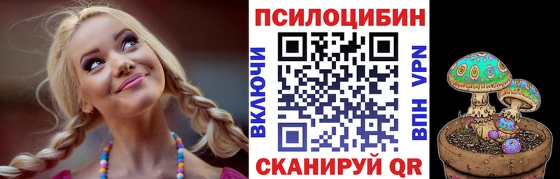 mega как зайти  Прокопьевск  Галлюциногенные грибы Cubensis 