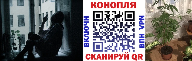 Шишки марихуана AK-47  блэк спрут зеркало  Прокопьевск 